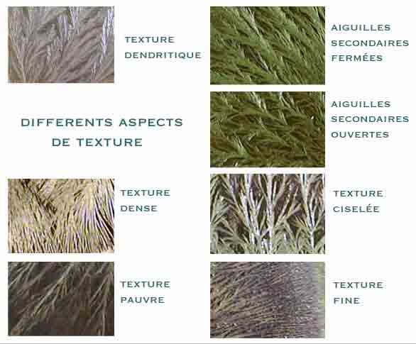 Planche : différents aspects de texture